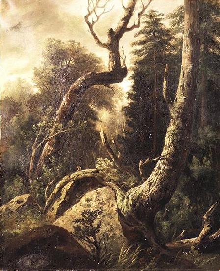 skagen museum Forest Landscape oil painting image